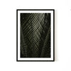 Feathered