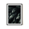 Palm 2