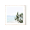 Queensland Coast
