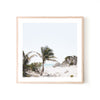 Tropical Beach