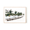 Tropical Holiday