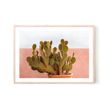  Texas Cactus