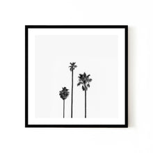  Cali Palms